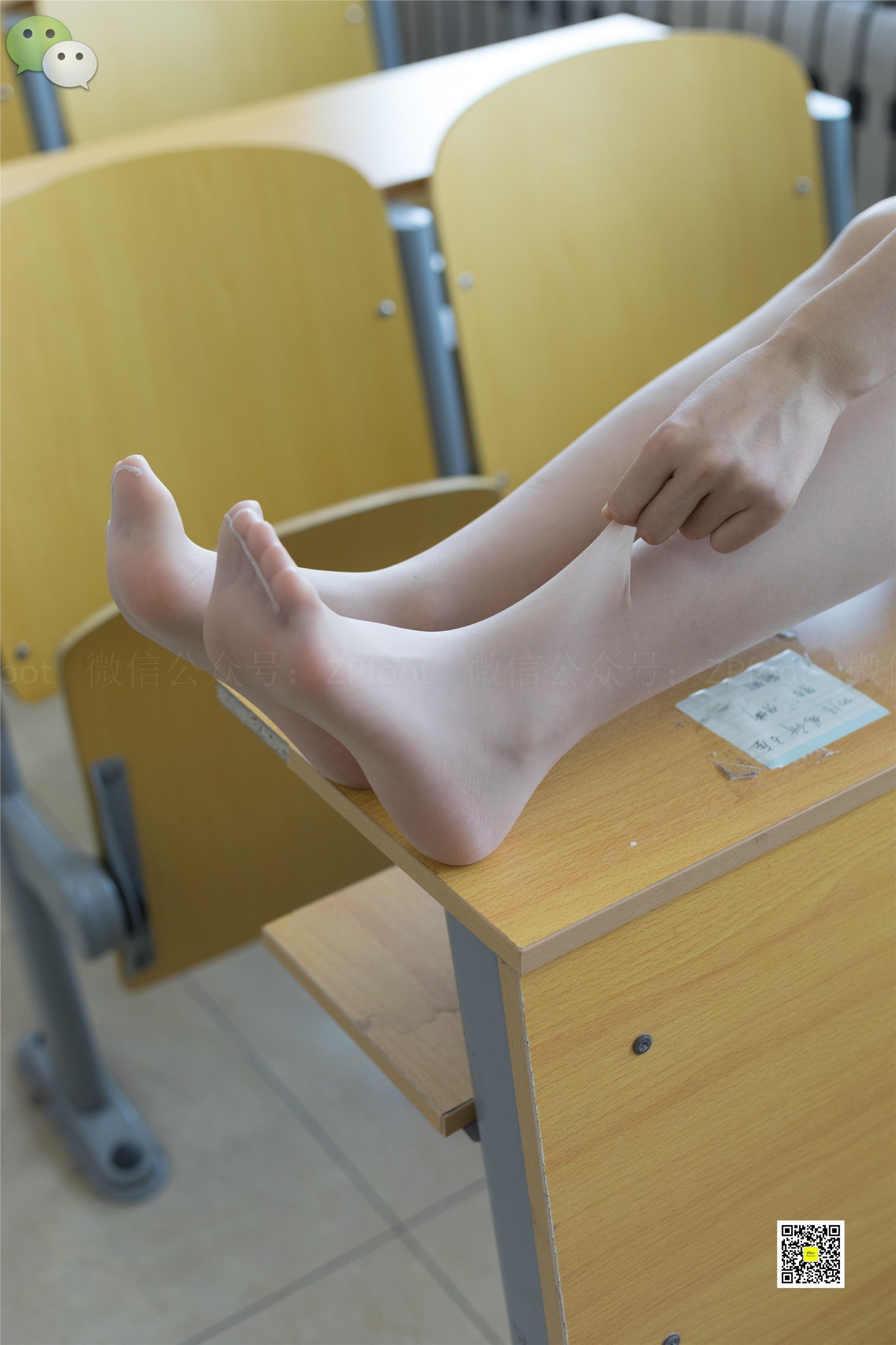 LSS山茶摄影 NO.005 学生肉丝